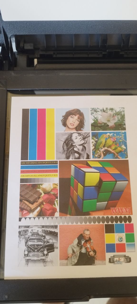 Портфолио 5